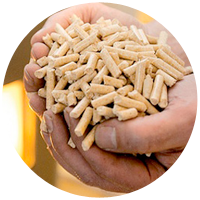 生物質(zhì)是可再生能源