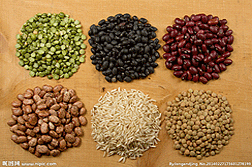 酒廠鍋爐糧食消耗