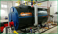 WNS燃油燃?xì)忮仩t2