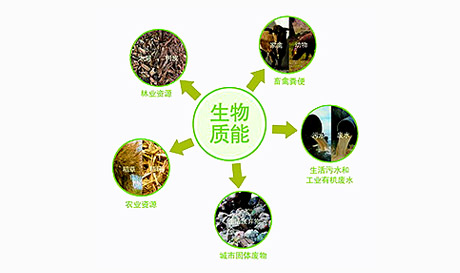 生物質(zhì)發(fā)電的投資分析