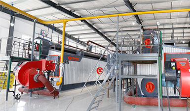 河南新鄉(xiāng)20t/hSZS燃油燃?xì)忮仩t