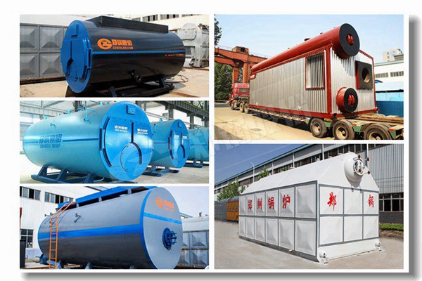 生物質立式兩用蒸汽鍋爐有哪些型號？