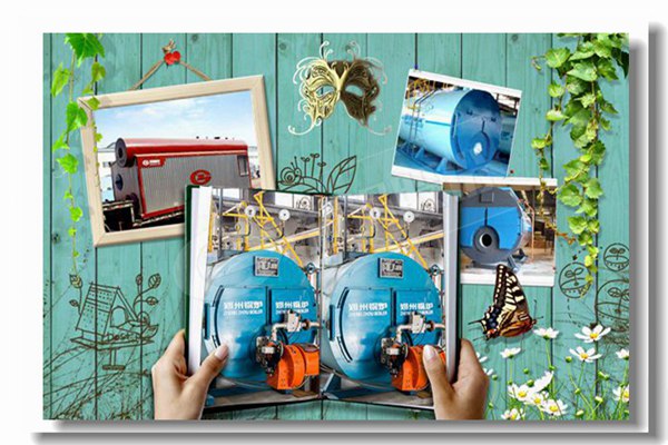 雙燃料蒸汽鍋爐，壓力16kg