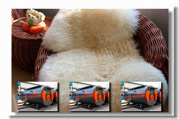 WNS系列燃油或燃?xì)庹羝仩t