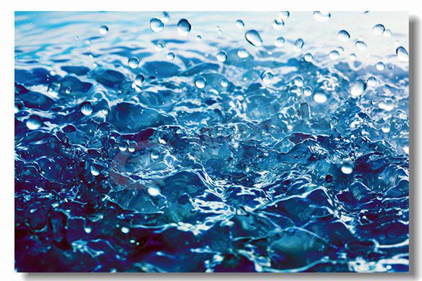 兩噸生物質(zhì)鍋爐多少錢?